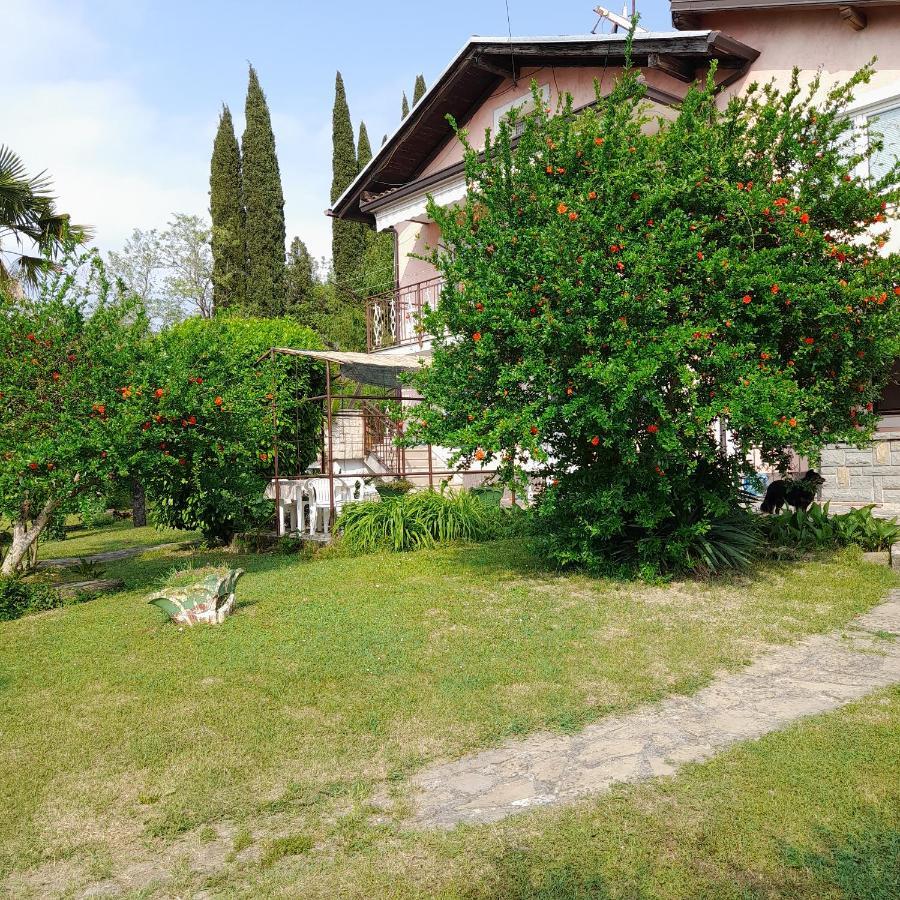Apartma Mari Apartment Lucija Exterior foto